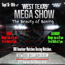 WTX Knockout.jfif